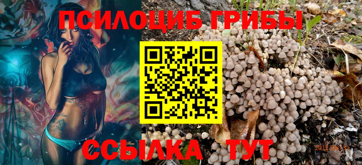 Галлюциногенные грибы Psilocybe Железноводск